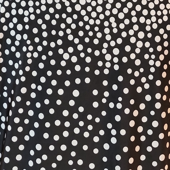 FIORI Polka Dot Short Sleeved Top, Crewneck, Size 1XL - Picture 5 of 10